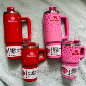 Stanley and Target Valentines Tumblers